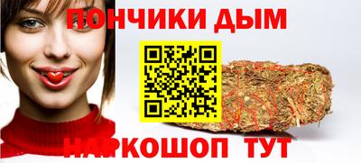 стаф Дубна