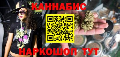 стаф Дубна