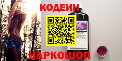 стаф Дубна