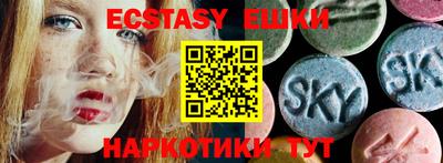 стаф Дубна