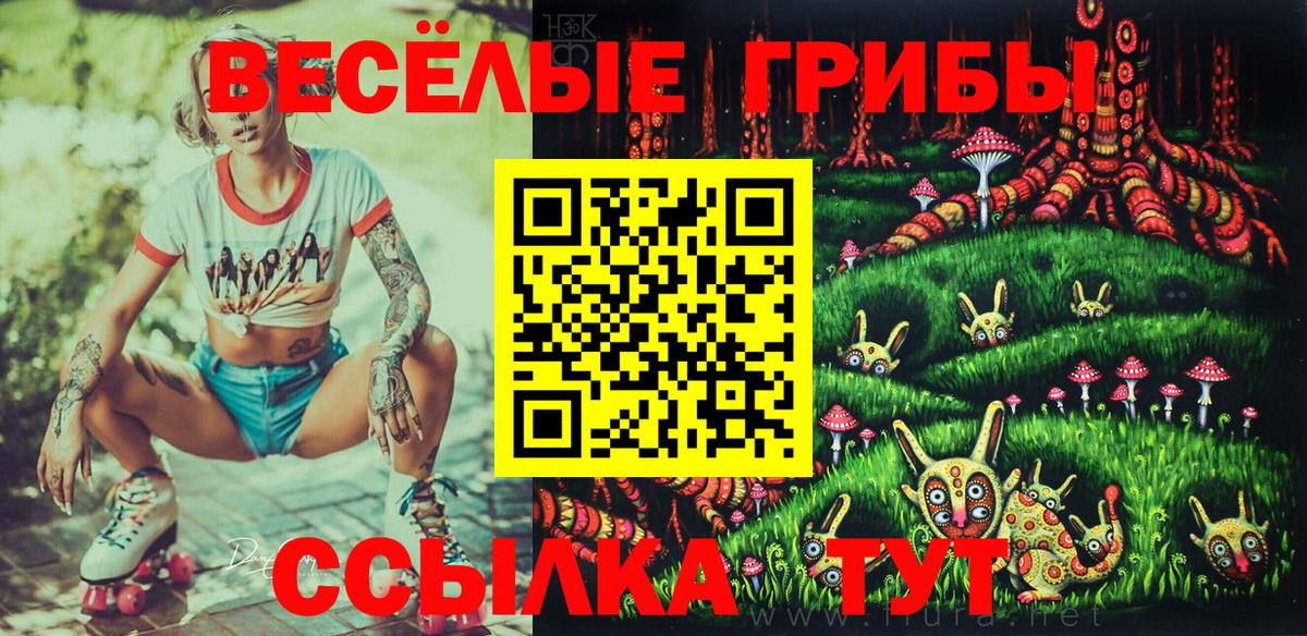 что такое наркотик  Вход с VPN  Южноуральск  Псилоцибиновые грибы Psilocybine cubensis 
